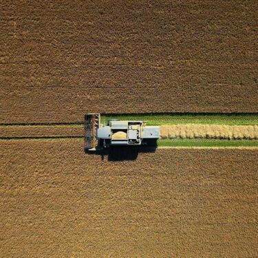 Blaise Smith: CROP |  Butler Gallery 
Evans’ Home John’s Quay, Kilkenny | Saturday 22 February to Sunday 27 April 2025 | to 