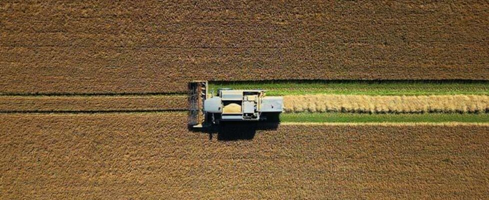 Blaise-Smith-CROP-Still