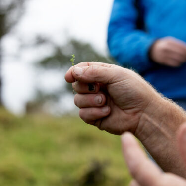 Farm Walks – Creative Showcase |  The Dock 
St. George's Terrace Carrick-on-Shannon, Co. Leitrim | Tuesday 28 January to Saturday 5 April 2025 | to 