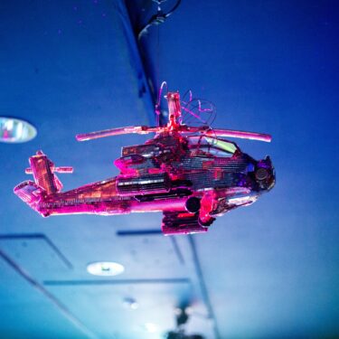 Array Collective: The Goose and the Common |  Rua Red 
South Dublin Arts Centre Tallaght, Dublin 24 | Saturday 15 February to Saturday 3 May 2025 | to 