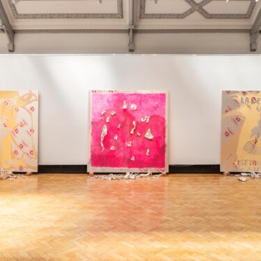 Crisis / death / resurrection; a painting symposium |  Triskel Arts Centre 
14A Tobin Street, Cork City | Friday 28 March 2025 | to 