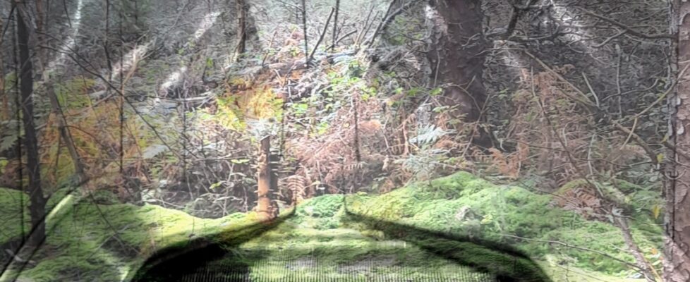 Mary Clarke-MMM No.1