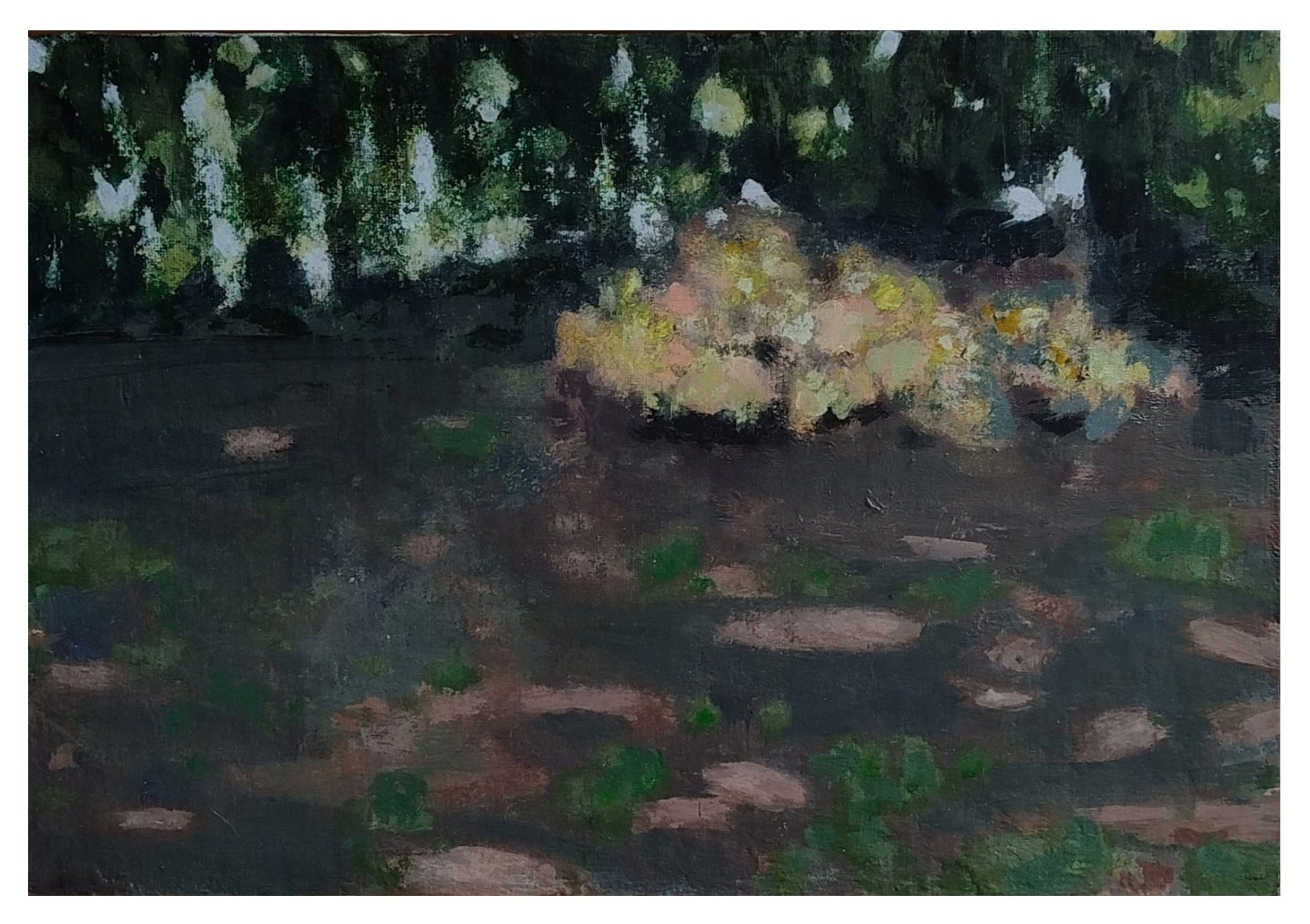 Clifford Collie; painting | Spring Group Show | Wednesday 2 April  – Saturday 26 April 2025 | Solomon Fine Art | Clifford Collie; painting | appears to be a natural scene; the foreground, stretching up to the middle of the canvas, is quite like some of Monet’s lilies; then there is a bright area, possibly full of pale, mostly pink and yellow flowers; and behind there appears to be a barrier of tall, dark trees, with pale-blue daylight between trunks 