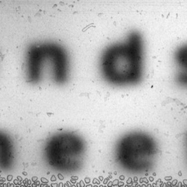 Helena Gouveia Monteiro: ends meet |  SIRIUS 
The Old Yacht Club Cobh, Co. Cork | Saturday 15 March to Saturday 26 April 2025 | to 