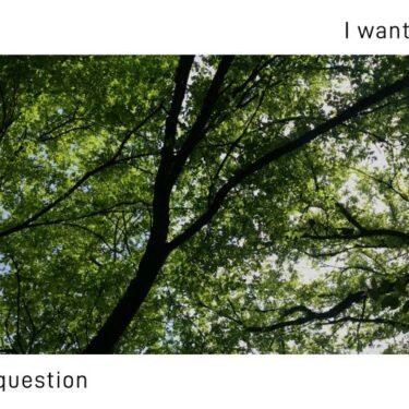David Parnell: I Want to Ask A Question |  Roscommon Arts Centre 
Circular Road Roscommon Town | Friday 11 April to Friday 23 May 2025 | to 
