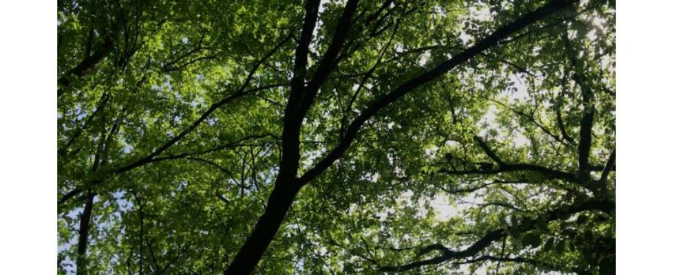 I-Want-to-Ask-A-Question-Exhibition