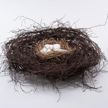 Sonia Caldwell: Athmhúscail (Reawake) |  Uillinn: West Cork Arts Centre 
Skibbereen, Co Cork | Saturday 12 April to Wednesday 21 May 2025 | to 