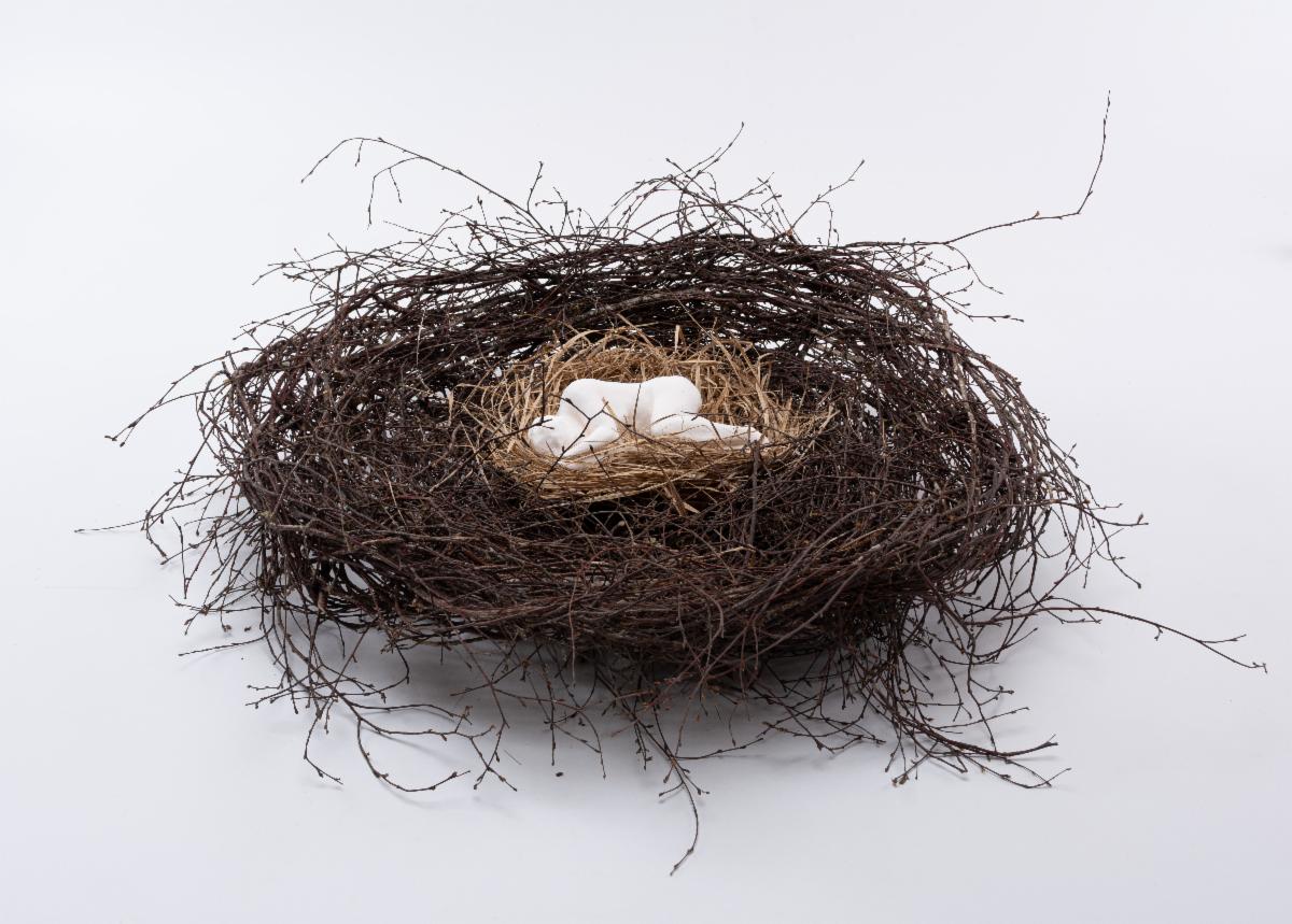 Sonia Caldwell: Athbhreith (rebirth), 80 cm diameter; birch, fionnán and porcelain | Sonia Caldwell: Athmhúscail (Reawake) | Saturday 12 April  – Wednesday 21 May 2025 | Uillinn: West Cork Arts Centre | Image:  Sonia Caldwell: Athbhreith (rebirth), 80 cm diameter; birch, fionnán and porcelain | this is a photo of an artwork: in what appears to be a bird’s nest we see a white porcelain figure, possibly naked, lying on one side as though sleeping 