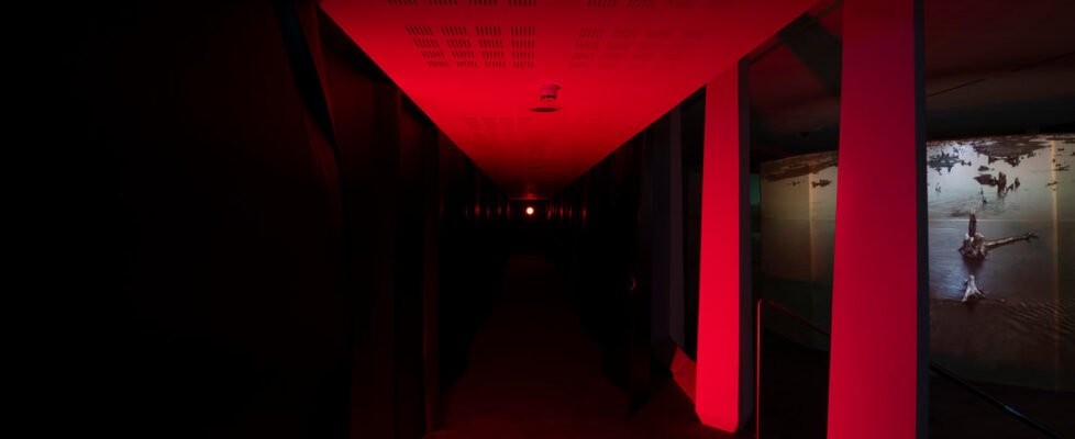 articles-seen-and-unseen-kate-mcelroy-and-what-was-lost-padraic-barrett-1_orig