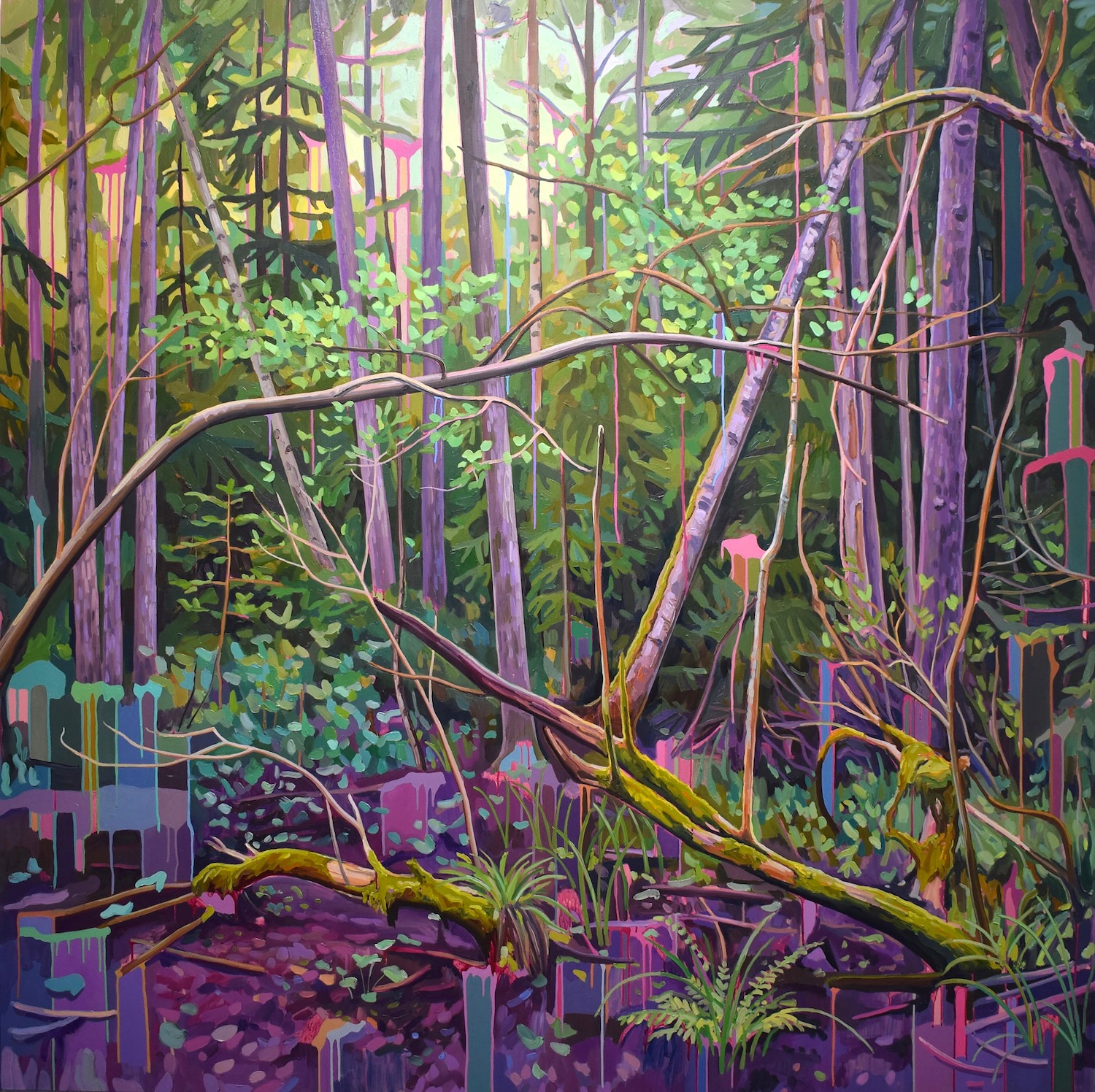 Cecilia Danell: Possibility Space, oil and acrylic on canvas, 200 x 200 cm, 2024 | Cecilia Danell: These Magnetic Magnitudes | Saturday 14 June  – Saturday 16 August 2025 | Solstice Arts Centre | Image: Cecilia Danell: Possibility Space, oil and acrylic on canvas, 200 x 200 cm, 2024 | somewhat hyper-realistic depiction of a woods / forest fiarly close-up, so that what we see is some ground cover, thin trunks, lots of foliage, ad a strange purplish tinge to much of it; there are also very deliberate ‘drips’ of paint that create fairly wide vertical stripes of a single colour, bordered by a different single colour, and topped by this second colour in a blobby shape; to add to their deliberate artificiality, some of the drips / blobs are partially occluded by branches or foliage 