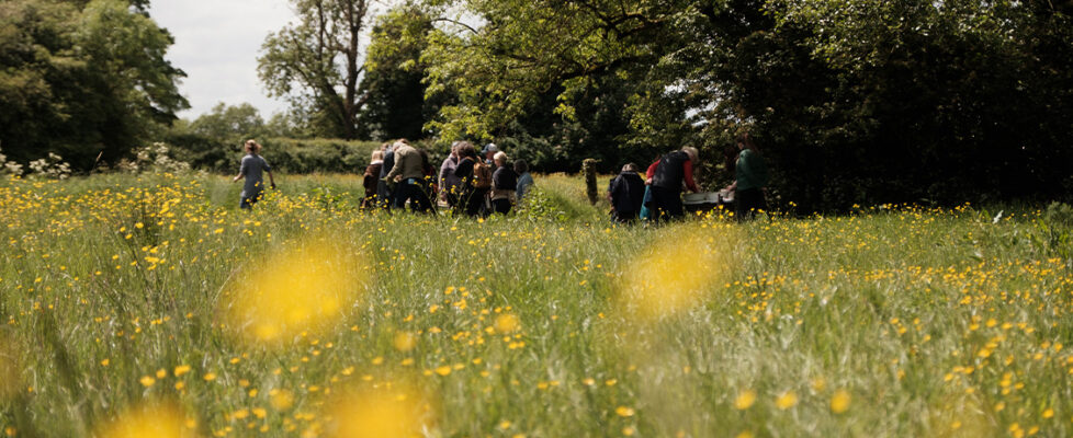 Take Me to the River 2025