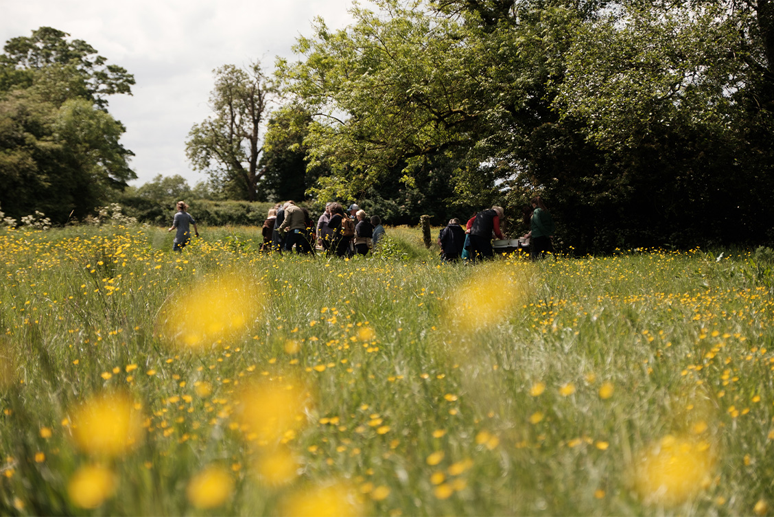 Finn Richards | Take Me to the River 2025 | Thursday 1 May  – Wednesday 31 December 2025 | Solstice Arts Centre | Image: Finn Richards | photo taken on a hazy day; the camera is at wildflower height in a field of grasses, etc.; yellow blossoms are too near to be in focus; in the mid-distance is a group of people, clearly examining sometign or other; one person is headoing off to the left, towards trees, etc.; there are more trees farther away, and a hedgerow; we see some sky, a bright grey
