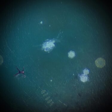 Rachel Joynt: Fathom: Outstretched Arms |  Solomon Fine Art 
Balfe Street, Dublin 2 | Thursday 29 May to Saturday 21 June 2025 | to 