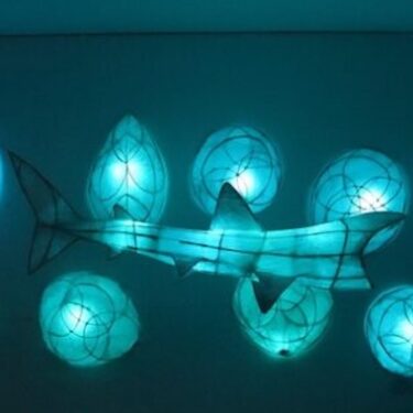 Tom Meskell: Basking |  Roscommon Arts Centre 
Circular Road Roscommon Town | Friday 13 June to Friday 25 July 2025 | to 