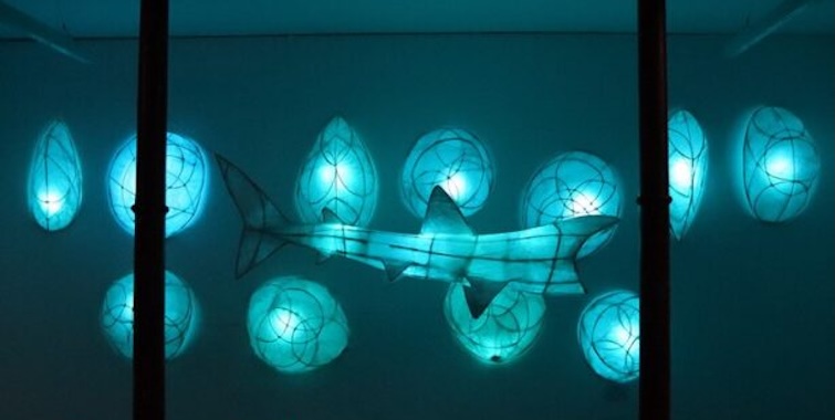 Tom Meskell: Basking | Friday 13 June  – Friday 25 July 2025 | Roscommon Arts Centre | Image: installation photo which shows the shape of what is presumably a basking shark suspended among what may be shark eggs, though very large; all are illuminated from within, and there is a pearlescent bluish glow to the space that the pice is in; there are two strong black verticals towards the left and right, probably supporting struts in the space 
