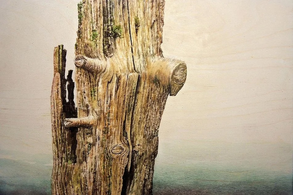 Eoin Mac Lochlainn: An ghaoth aniar / This too will pass | Sunday 7 September  – Friday 3 October 2025 | Olivier Cornet Gallery | Image: watercolour on birch panel, 30 x 40cm | the work is untitled; it is a very detailed rendering of part of a tree trunk – one that has been turned, it seems from the artist’s statement, into a fence-post; we see that limbs have been cut off; it is very weathered, and there is no sign that it is still use; behind we see, faintly the grain of the birch panel 