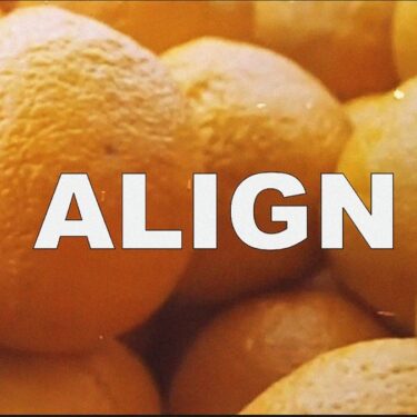 Marianne Keating: To What Do We Align |  Royal Hibernian Academy 
15 Ely Place, Dublin 2 | Friday 12 September to Sunday 26 October 2025 | to 