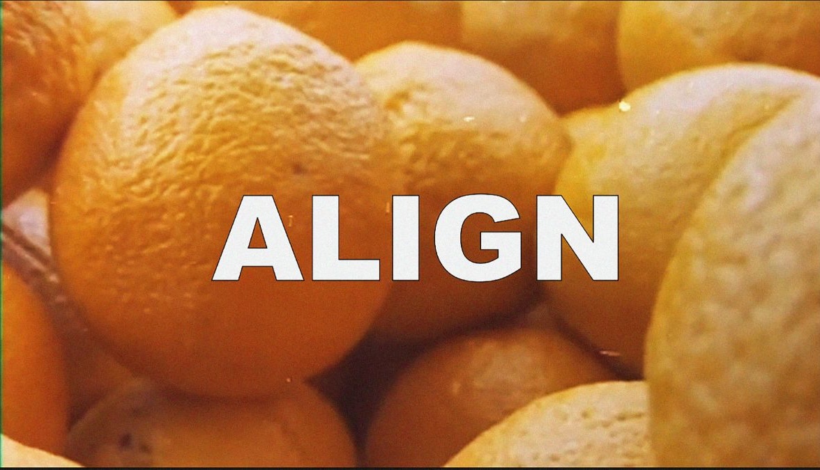 Marianne Keating: To What Do We Align | Friday 12 September  – Sunday 26 October 2025 | Royal Hibernian Academy | Image: photo / film still of what appears to be maybe a dozen oranges in a jumble, viewed from the side, with the word ‘ALIGN’ imposed, centred horizontally and vertically, over it in all caps and a sans-serif font, with a thin black outline around each what letter 