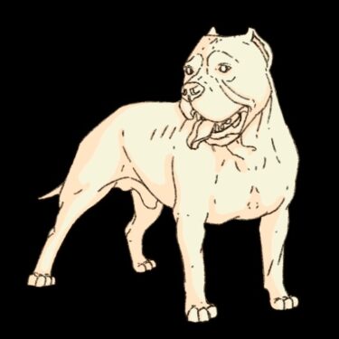 Aaron Sunderland Carey: Nach Cuma? Who Cares? |  The LAB 
Foley Street, Dublin 1 | Thursday 21 August to Tuesday 30 September 2025 | to 