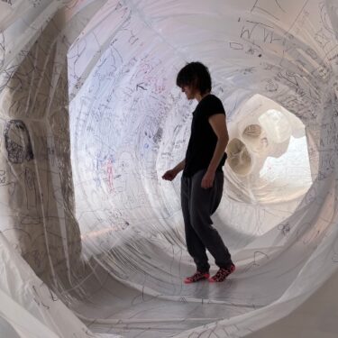 Olga Diego: Metamorphosis |  Newman Builiding University College Dublin Dublin 4 | Monday 6 October to Friday 10 October 2025 | to 