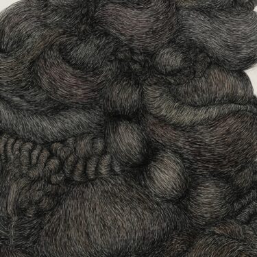 Alice Maher: The Sibyls |  Kevin Kavanagh 
Chancery Lane Dublin 8 | Friday 12 September to Saturday 11 October 2025 | to 