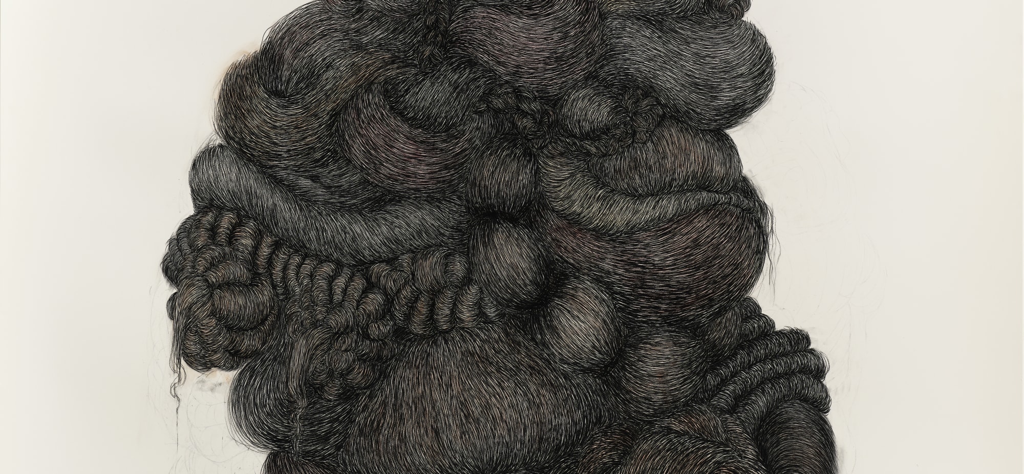 Alice Maher: The Sibyls | Friday 12 September  – Saturday 11 October 2025 | Kevin Kavanagh | Image: detail, probably, of a larger artwork; we see twists and twirls of locks of hair; possibly an ink drawing, though there are hints of brown and pink in what is otherwise black lines on a pale background