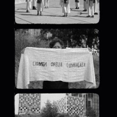 Ana Bravo-Pérez: If we remain silent |  Limerick City Gallery 
Pery Square, Limerick | Friday 1 August to Sunday 26 October 2025 | to 