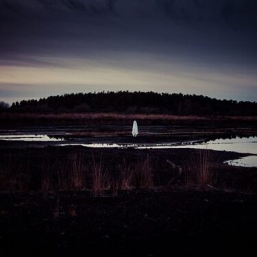 Mark Collins: Life Is A Flat Circle |  The Source Arts Centre 
Thurles Co Tipperary | Friday 19 September to Wednesday 31 December 2025 | to 