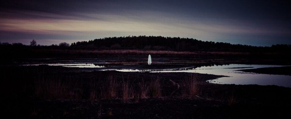 MarkCollinsCultureNIght.2025-002.small