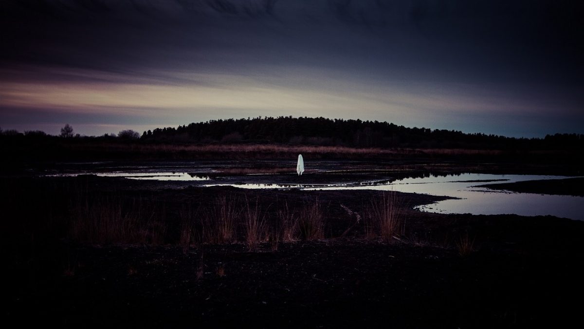 Mark Collins: Life Is A Flat Circle | Friday 19 September  – Wednesday 31 December 2025 | The Source Arts Centre