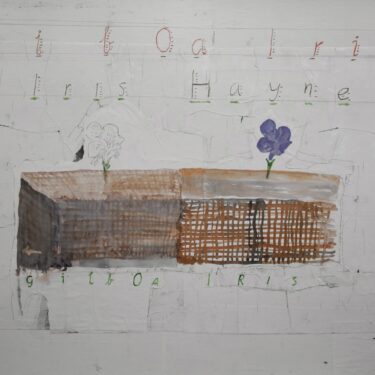 Patrick Graham: Gilboa Iris |  Hillsboro Fine Art 
49 Parnell Square West Dublin 1 | Friday 7 November to Saturday 6 December 2025 | to 