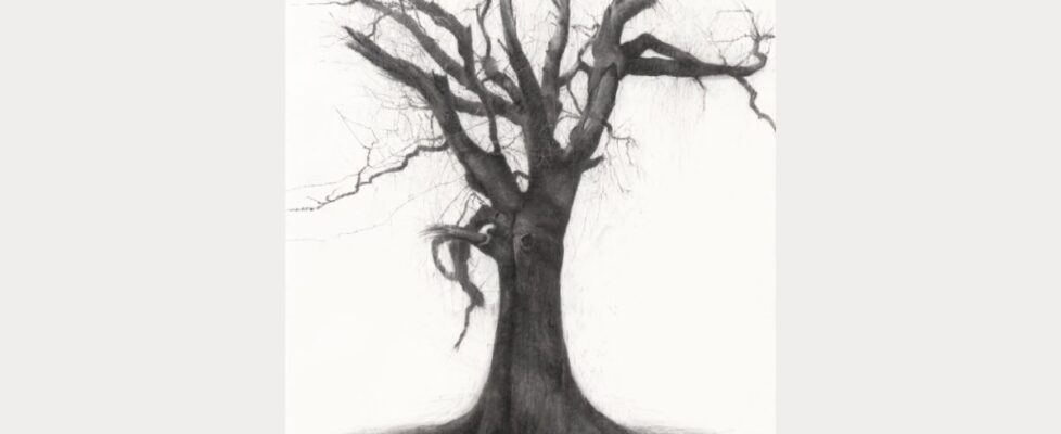 3. Lelia Henry. Sadhbh. 2025. Charcoal on paper. 300x140cm. Photograph Dickon Whitehead (1)