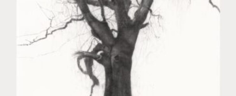 3. Lelia Henry. Sadhbh. 2025. Charcoal on paper. 300x140cm. Photograph Dickon Whitehead (1)