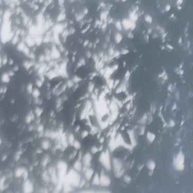 Charys Wilson: Half Light |  Atypical Gallery 
109 - 113 Royal Avenue Belfast BT1 1FF | Thursday 13 November to Wednesday 17 December 2025 | to 