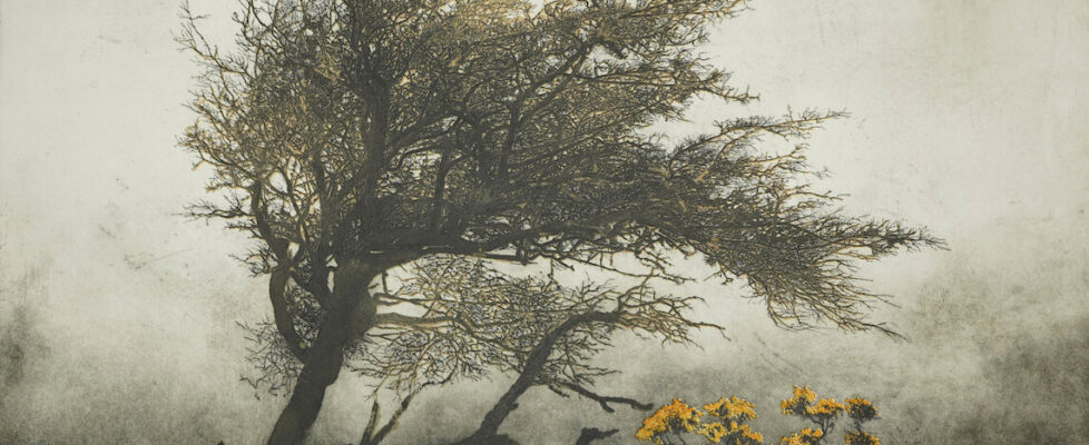 Robert Russell, The Hawthorn Holds Fast, Etching and Carborundum, 84h x 120w cm, €1,275 unframed