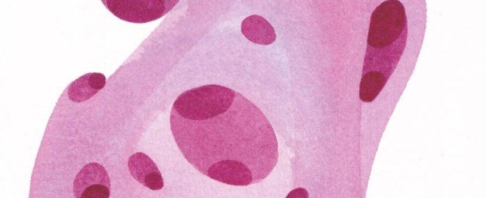 Conor O'Brien First Contact