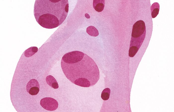 Conor O’Brien | Friday 5 December 2025  – Sunday 4 January 2026 | Triskel Arts Centre | Image: organic shapes, a bit like cells, spotted, pinks against a white background 