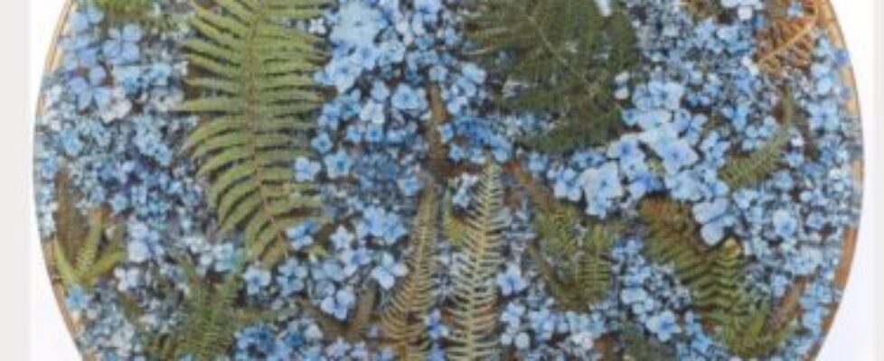 Sasha Sykes, Reassurance, 2025, Hydrangeas, ferns, resin, acrylic, 75cmD, Image courtesy of the arti