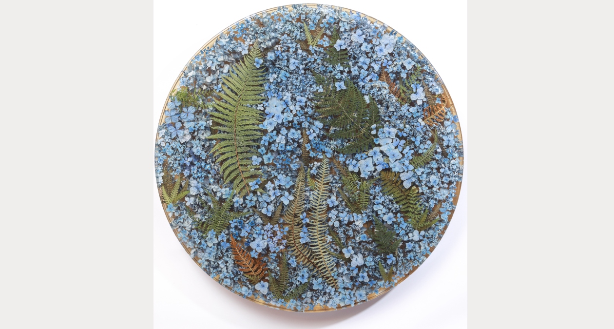 Sasha Sykes, Reassurance, 2025, Hydrangeas, ferns, resin, acrylic, 75cmD, Image courtesy of the arti | Sasha Sykes: Filial Love | Friday 13 February  – Sunday 29 March 2026 | Royal Hibernian Academy | Image: Sasha Sykes, Reassurance, 2025, Hydrangeas, ferns, resin, acrylic, 75cmD, Image courtesy of the artist | the materials mentioned in the image description are arrayed tastefully (?) inside a frameless tondo 