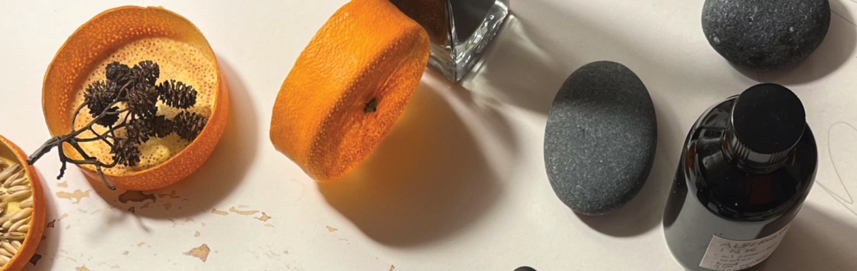 Elida Maiques: A Playful River | Saturday 14 March  – Saturday 2 May 2026 | Mermaid Arts Centre | Image: photo from above of a collection of things on what may be a white-marble surface; on the left is a round box, about the size of an orange, that appears to have the skin of an orange; it is open, and we see the inner texture of the box; its lid is nearby, on its edge; the head of a plant, dried, is sticking into the box; at the top of the photo is what may be a small bottle of dark ink – we only see a small part of the bottle; there are two stones towards the right, and possibly a larger bottle of dark ink 