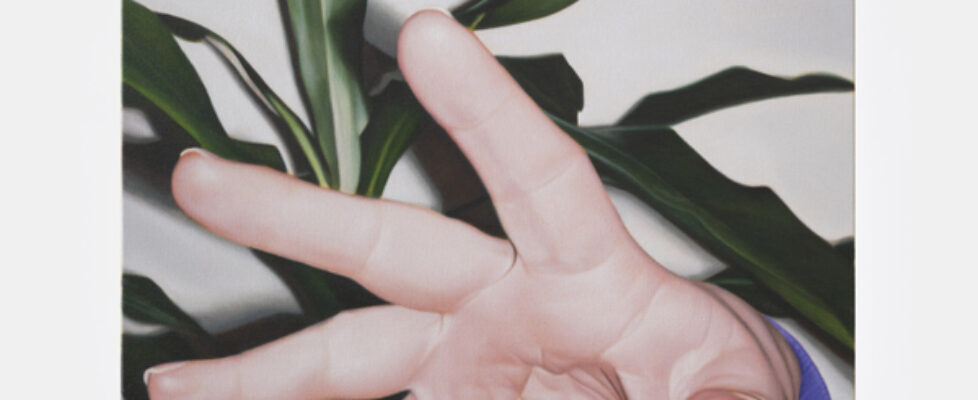 Hand and plant, 2025, oil on linen 90 x 70 cm / 35.4 x 27.6 in