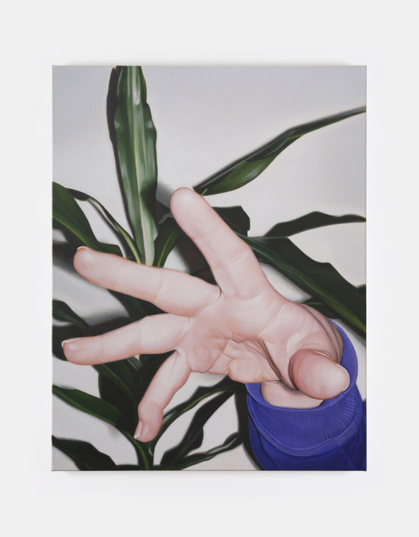 Marcel Vidal: Hand and plant, 2025, oil on linen, 90 x 70 cm / 35.4 x 27.6 in | Marcel Vidal: blue moon shadow | Thursday 12 March  – Saturday 18 April 2026 | Kerlin Gallery | Marcel Vidal: Hand and plant, 2025, oil on linen 90 x 70 cm / 35.4 x 27.6 in | rendition in paint of what is presumably a flash photo taken up close to a hand stretching as if to grab the lens; behind the plant we see dark-green leaves of a houseplant 