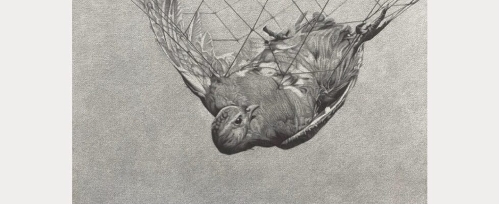 Magnhild Opdøl, And at the end, despair, pencil on aquarelle paper, 49, 5 x 61, 5 cm, 2024