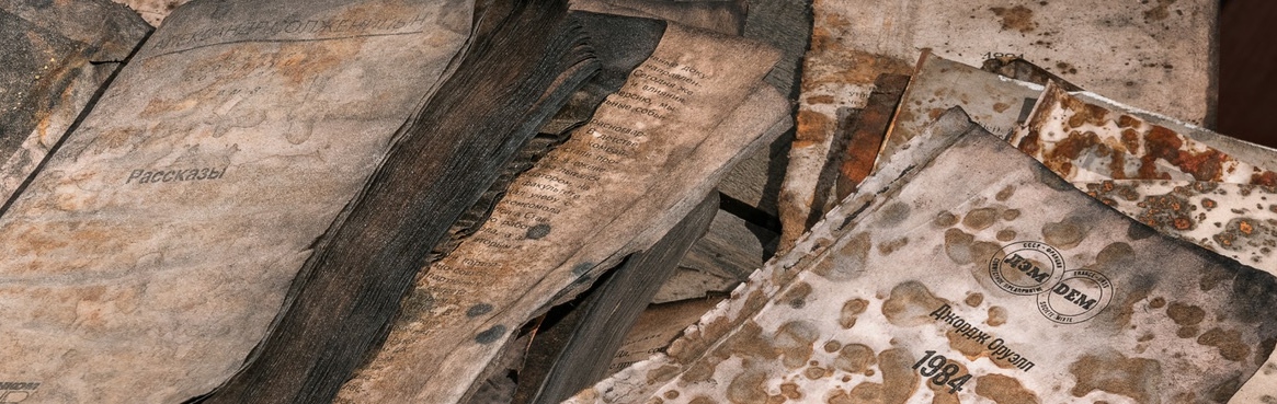 Evgeniya Martirosyan | Evgeniya Martirosyan 3+5 | Saturday 23 May  – Saturday 18 July 2026 | Mermaid Arts Centre | Photo of decaying, mould-ridden books or manuscripts; to top one to the right is George Orwell’s 1984. 