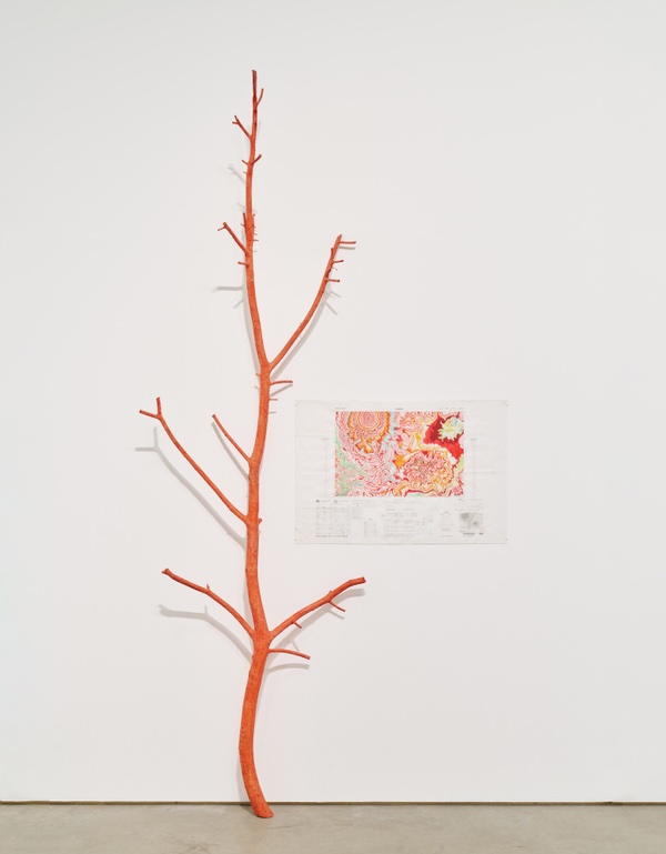 Kathy Prendergast In Stasis, 2022/4 gouache and watercolour on paper pigmented chalk on metal and wood stands | Kathy Prendergast: Stasis Field | Friday 24 April  – Saturday 30 May 2026 | Kerlin Gallery | Kathy Prendergast In Stasis, 2022/4 gouache and watercolour on paper pigmented chalk on metal and wood stands | what appears to be the branch of a tree – maybe three metres high – is propped against a gallery wall; it is a uniform orange colour; side branches have been terminated fairly abruptly; to the right of the branch is an artwork on the wall; it looks somewhat like a view through a microscope of cells of some organism, in strong colour in parts; it seems to be surrounded by text, as though it were a mapp, which it may be 