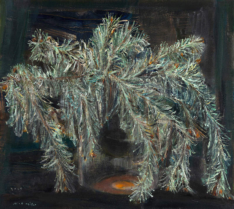 Nick Miller: In Light of the Colorado Pine, 2026 | Nick Miller: Red Dust | Friday 1 May  – Saturday 27 June 2026 | College Lane Gallery | Nick Miller: In Light of the Colorado Pine, 2026 | this painting is presumably of the eponymous tree; howerver, it is hard to get an idea of the scale: judging by the pine needles, we are close-up and the tree is a baby; but the background, which is dark with hints of lighting, suggest a much bigger tree; the effect is somehow like looking at a monstrous organism of some sort, maybe aquatic, in a good way; the paint appears to have been applied in quick strokes with a decent amount of paint, mostly depicting the needles 