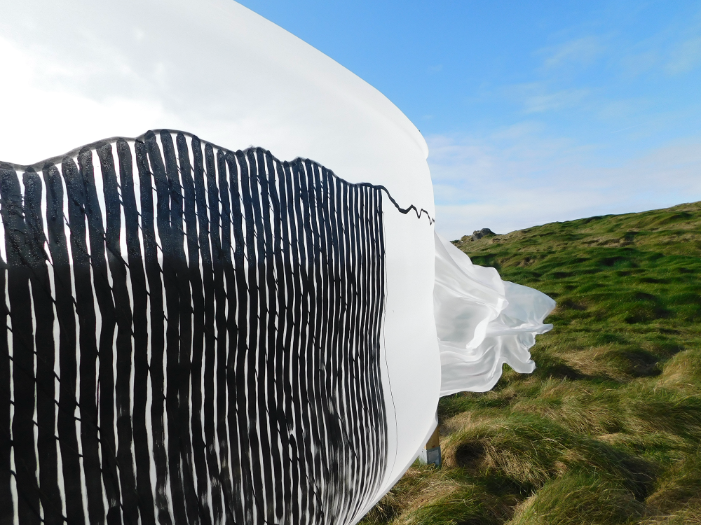 Mary Callaghan: Headland March 2026, chiffon, ink | Holding: BA Visual Art Graduate Exhibition | Saturday 16 May  – Saturday 13 June 2026 |  | Mary Callaghan: Headland March 2026, chiffon, ink | photo of some sort of installation outside, probably on Sherkin Island on a pleasant day; on the right side of the image we see blue sky with some cloud, and lower down windblown tussocks of grass; coming in from the left of the image a very large skein of white, somewhat translucent chiffon appears to be blowing across the field, vertically, like a wall; on the chiffon is a drawing in black in; it appears to be an incomplete depiction of a high fence of vertical, narrowly spaced black bars  