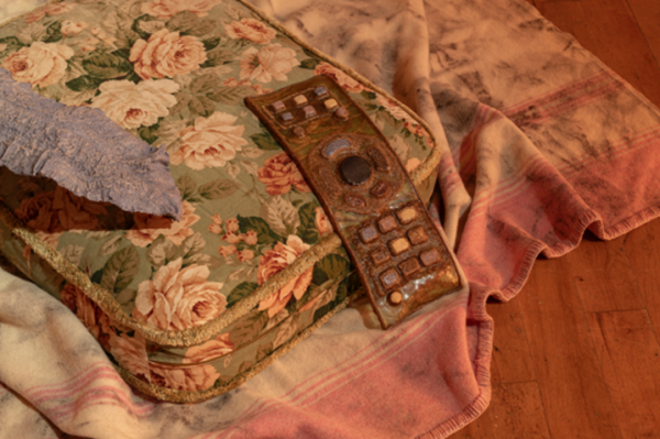 Siobhán McGibbon et al.: Love beyond the species and the sexual | Saturday 25 July  – Saturday 19 September 2026 | Uillinn: West Cork Arts Centre | photo of a fairly domestic scene – cushion of the sort that you might find on a sofa, patterned with images of flowers (roses), underneath it a blanket of the older, raspy sort, pink-trimmed; something that looks like a pale-blue leaf intrudes from the left; and on the cusion there is lying, slightly floppy, what seems to be a fabric or plastic TV remote control 