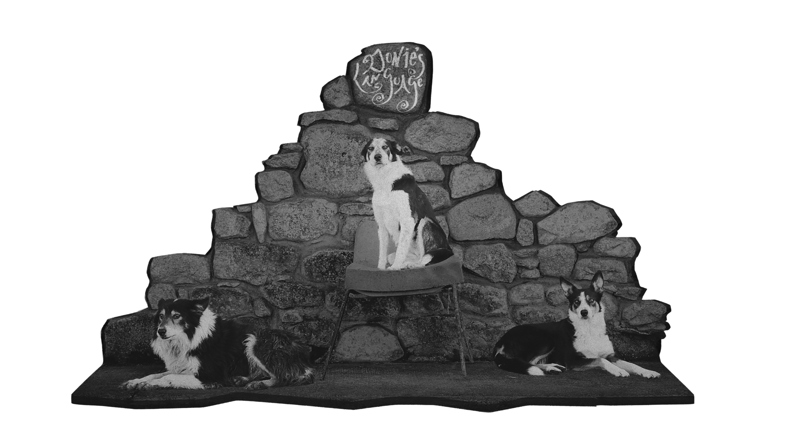Orla Barry: The Collie, The Cheviot & The Crouched Skeleton | Friday 10 July  – Saturday 26 September 2026 | Rua Red | black-and-white photo of three collies (?) in an installation that seems to be parodying, maybe, a rural scene; one dog is on the ground (a fake ground of some sort?) to the left, the second on a cushion on a fairly modern, utilitarian chair, and the third is on the right, again on the ground; the background is a stone wall of stones large and small with, above the middle dog, writing on a large stone that reads ‘Donie’s Language’ 